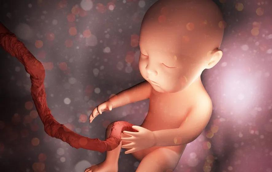 卵巢早衰患者借助干细胞技术诞下健康宝宝，让生育“有望”