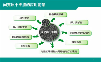 爱的接力！儿子华通氏胶间质干细胞拯救父亲.jpg