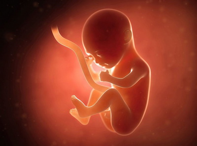 为新生儿储存胎盘干细胞有用吗