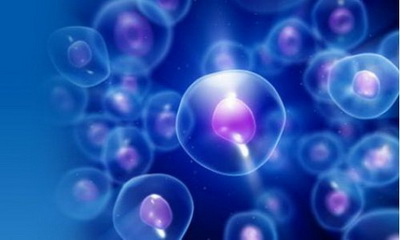 提前存干细胞是真科学还是大忽悠？