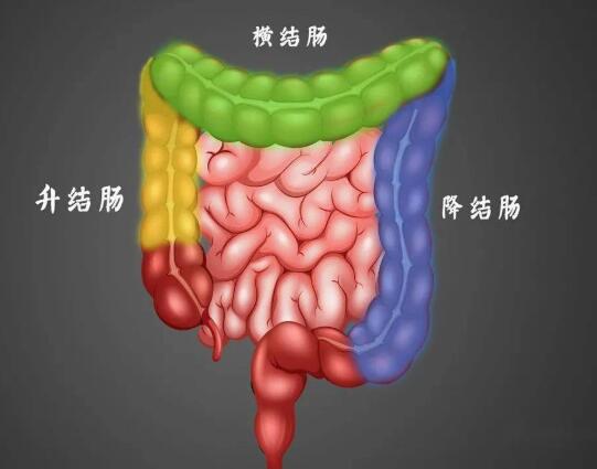 间充质干细胞治疗中度难治性溃疡性结肠炎临床研究