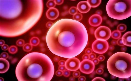 造血干细胞如何配型，同血型才能配吗？
