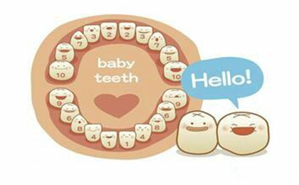 乳牙千万要保存起来，乳牙干细胞可促进牙髓再生