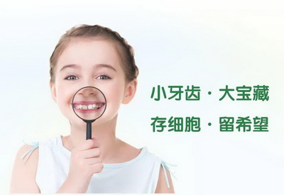 储存乳牙干细胞，以后真的能用吗？（乳牙干细胞临床研究应用）