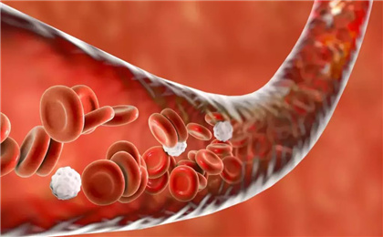 造血干细胞捐献有哪些流程？（中国造血干细胞捐献者资料库）