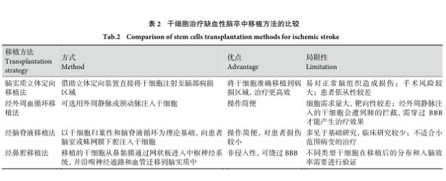 3种不同类型干细胞治疗缺血性中风的应用研究进展