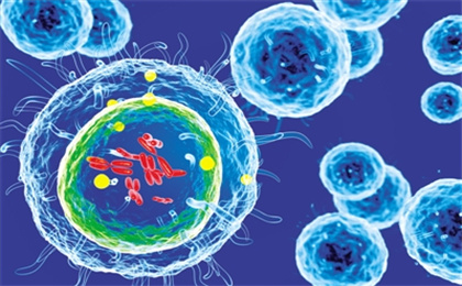 治疗新冠病毒肺炎的秘密武器，人脐带血间充质干细胞