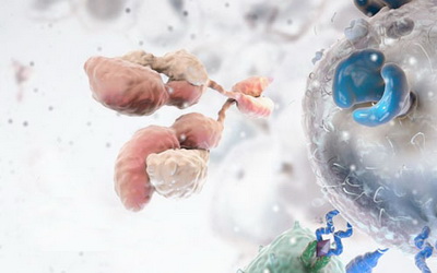 细胞免疫疗法有什么特点？