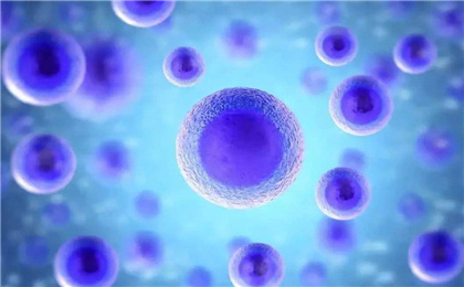 成体干细胞可以分化为所有类型的成熟细胞吗？