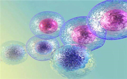 多能干细胞包括哪些？多能干细胞技术发展