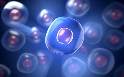 免疫细胞和干细胞有什么不同？（免疫细胞储存）
