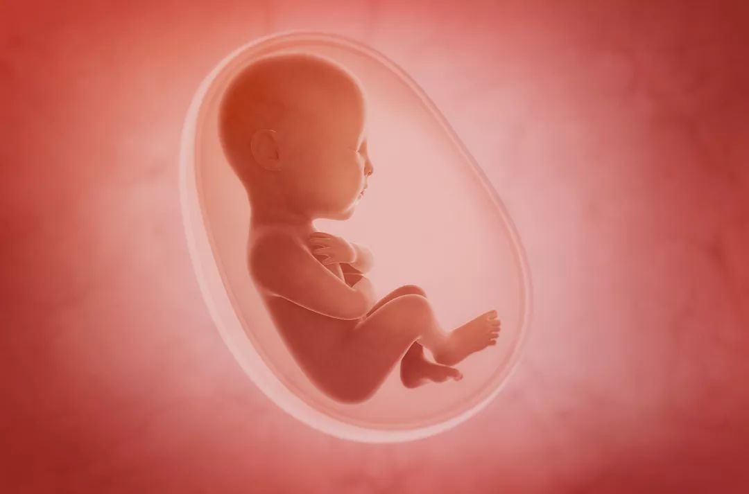 新生儿胎盘里含有哪些干细胞？湖北省干细胞库储存的是哪种干细胞