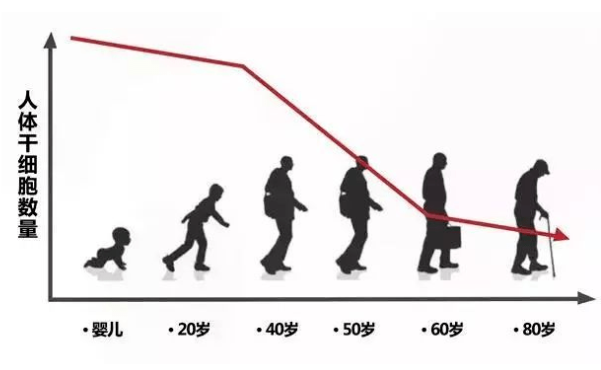 “冻存”14年的造血干细胞治疗白血病，专家呼吁储存胎盘干细胞