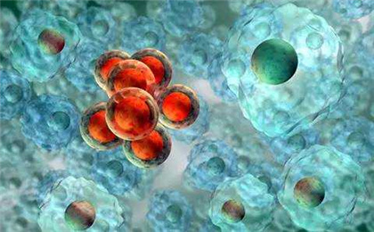 免疫细胞是怎么治疗癌症的？特异性细胞免疫的效应细胞是哪些？