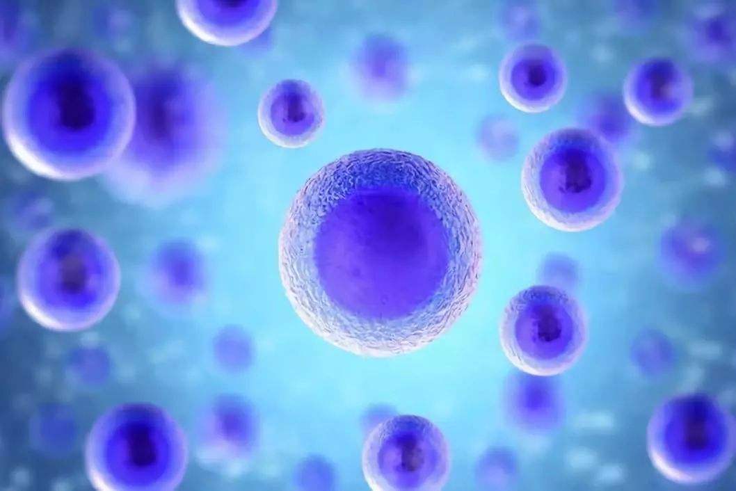 未来医学——干细胞治疗这些疾病不再是梦 （三种疾病）